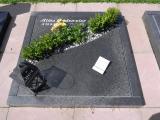 image of grave number 458786